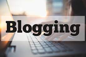Do you Blog professionally or in your spare time? 